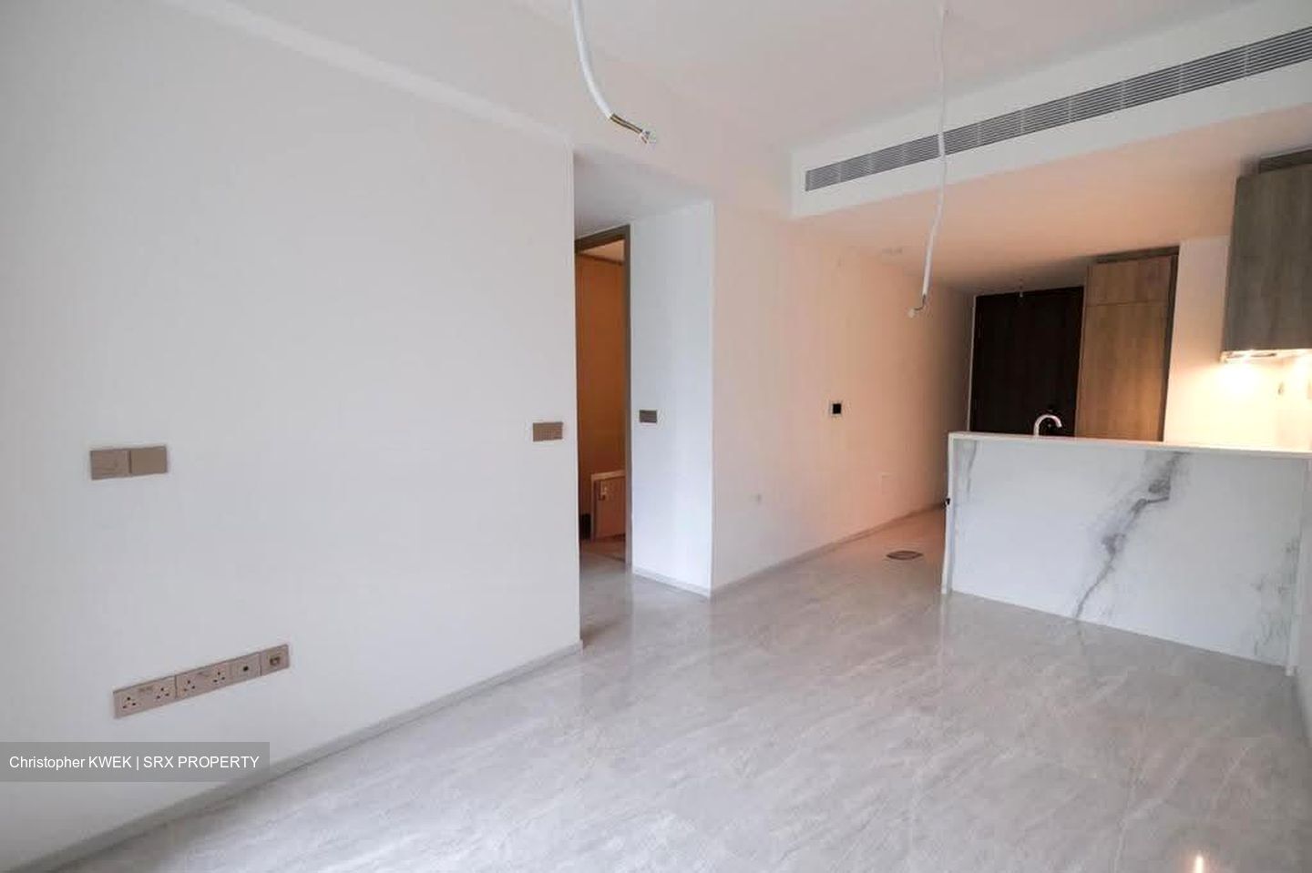Leedon Green (D10), Condominium #630351241